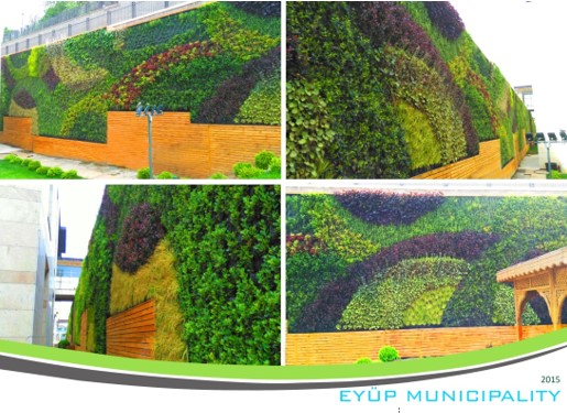 Dış Mekan Dikey Bahçeler
