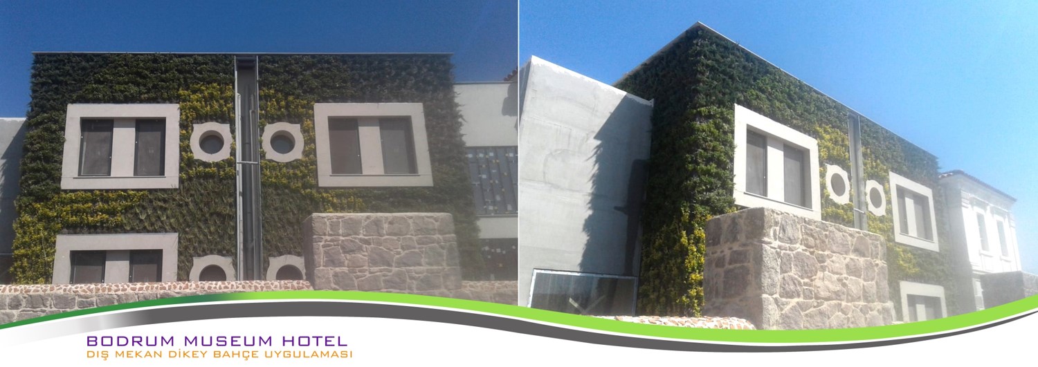 Dış Mekan Dikey Bahçeler