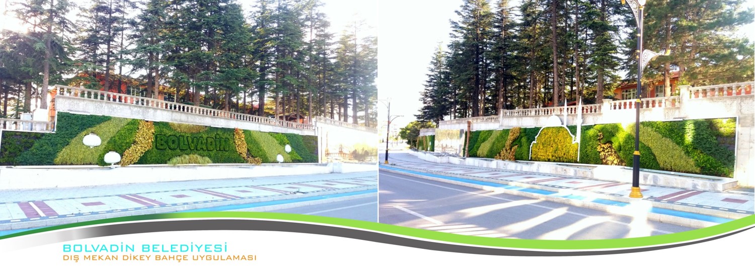 Dış Mekan Dikey Bahçeler