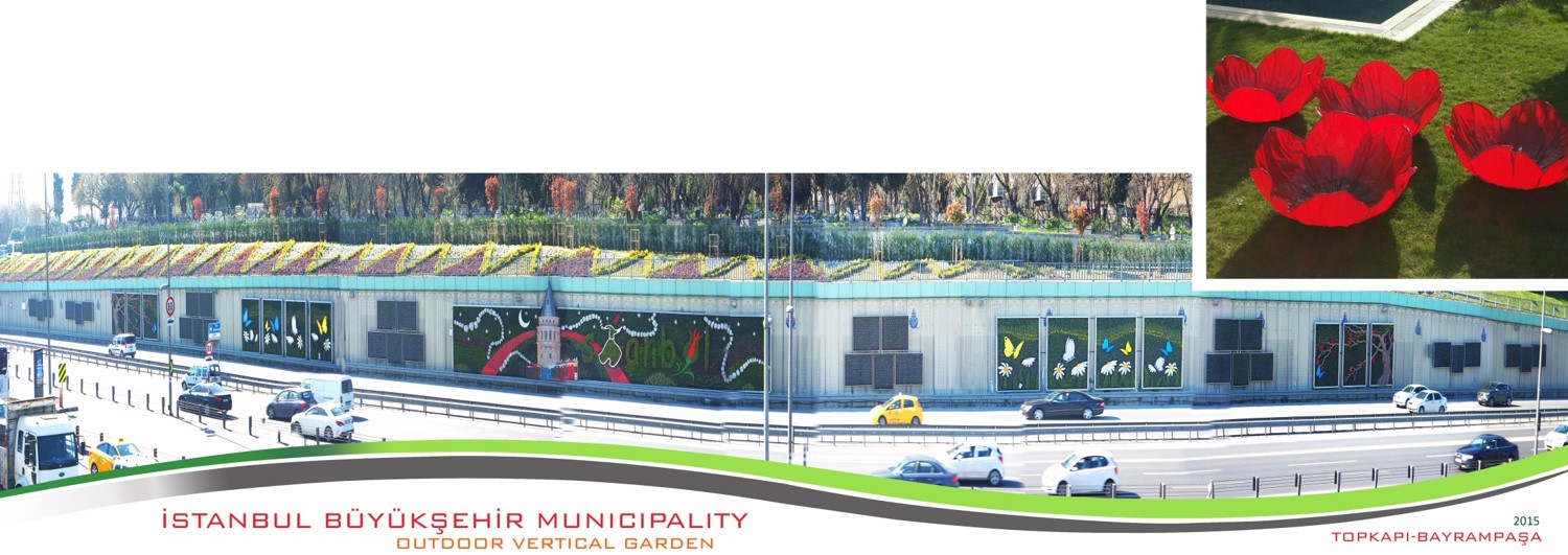 Dış Mekan Dikey Bahçeler