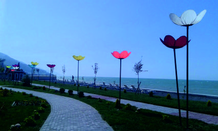 Dekoratif Peyzaj Ürünleri